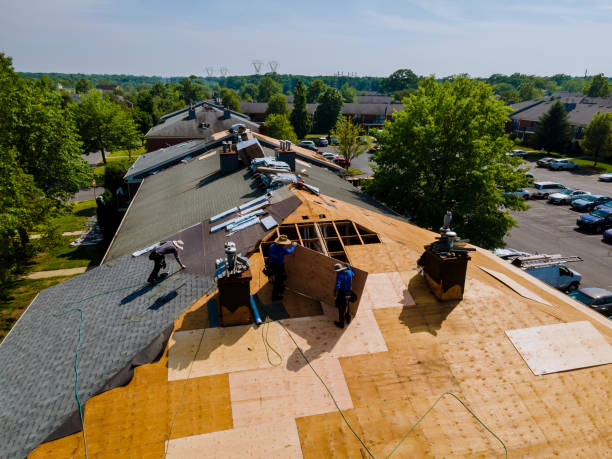 Trusted Roof Replacement service in Nicasio, CA - Brentwood Metal Roofing